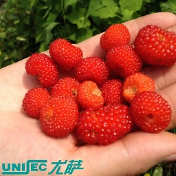 這個(gè)五一勞動(dòng)節，尤薩人帶著(zhù)家人出游